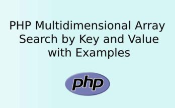 PHP Multidimensional Array Search by Key and Value with Examples